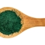 Chlorella | Exceptional Nutritional Benefits and Amazing Detoxifying Abilities