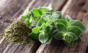 antioxidants - oregano spices