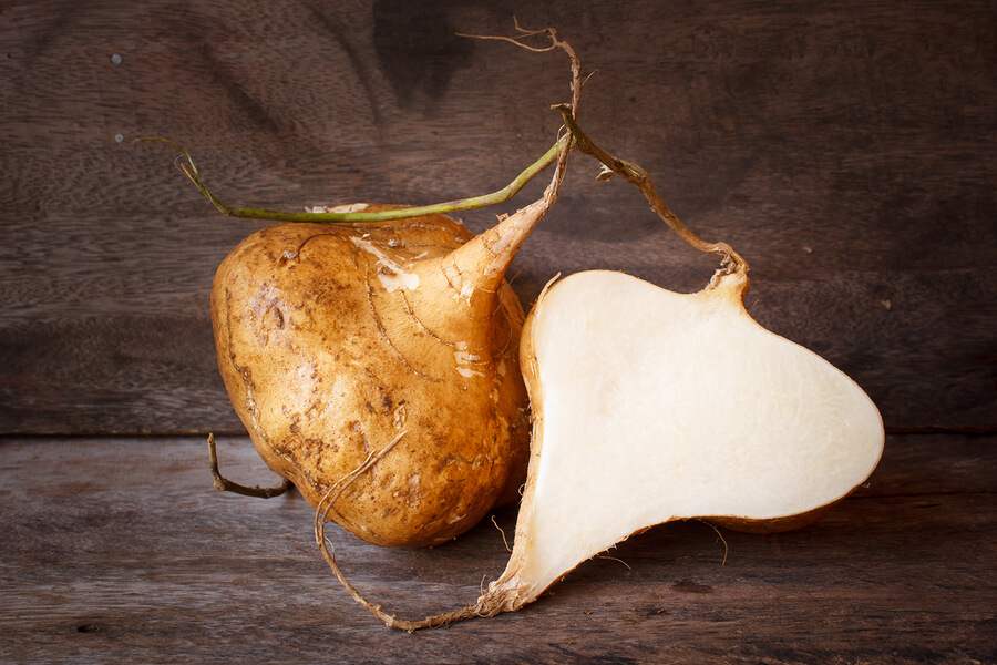 raw organic brown jicama or yam-bean.