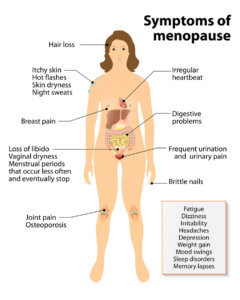 phytoestrogens - symptoms of menopause